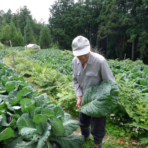 ケールと生産者