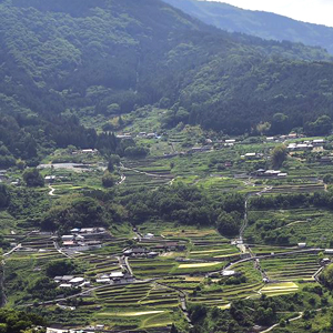 大豊町の集落遠景
