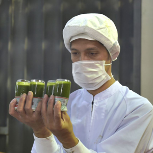 健康青汁「菜食健美」製品検査