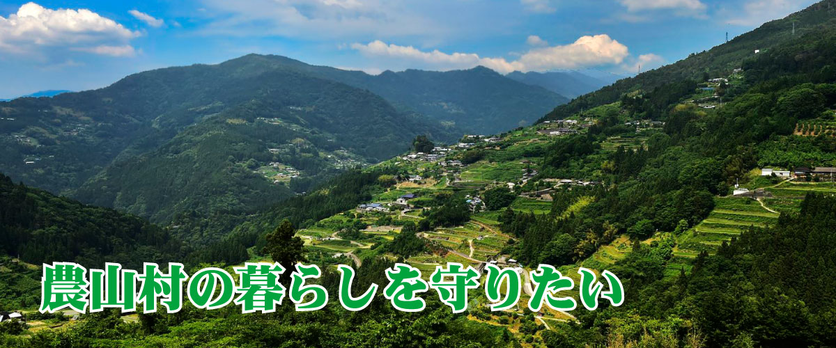 健康青汁　菜食健美で農山村の暮らしを守りたい