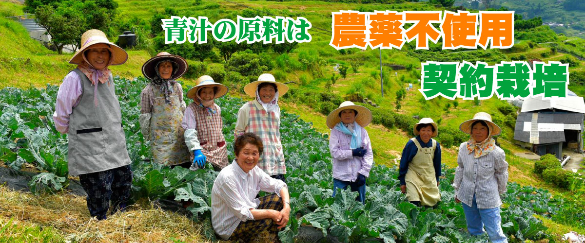 健康青汁「菜食健美」で農山村の暮らしを守りたい
